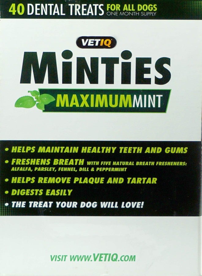MiNTiES VetIQ Minties Dog Treat - Image 2